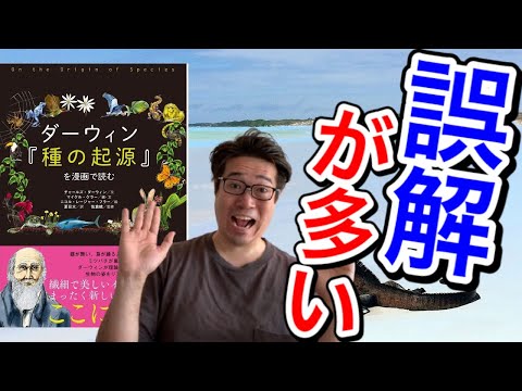 ガラパゴスのビーチ