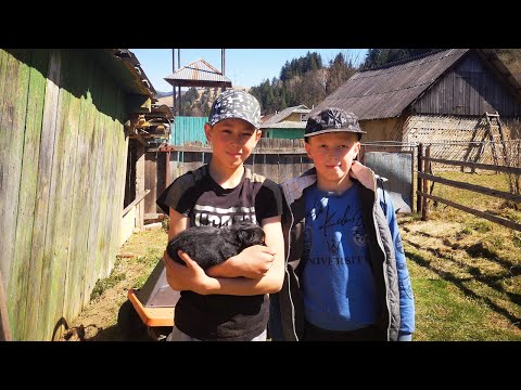 LIFE in the Ukrainian Village. Cooking Dinner on the Campfire
