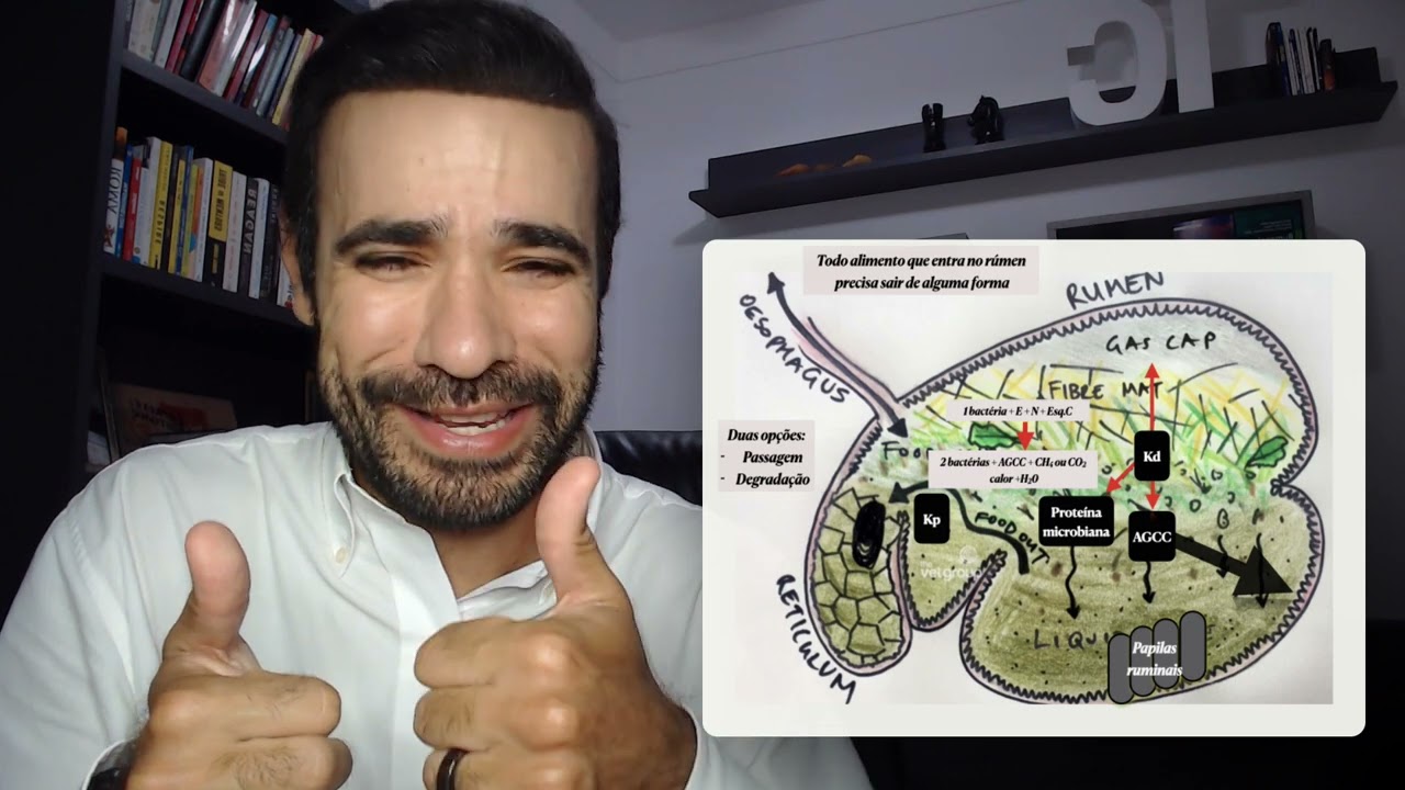 087 - Proteína microbiana