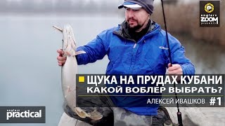 Где в краснодарском крае ловят щуку