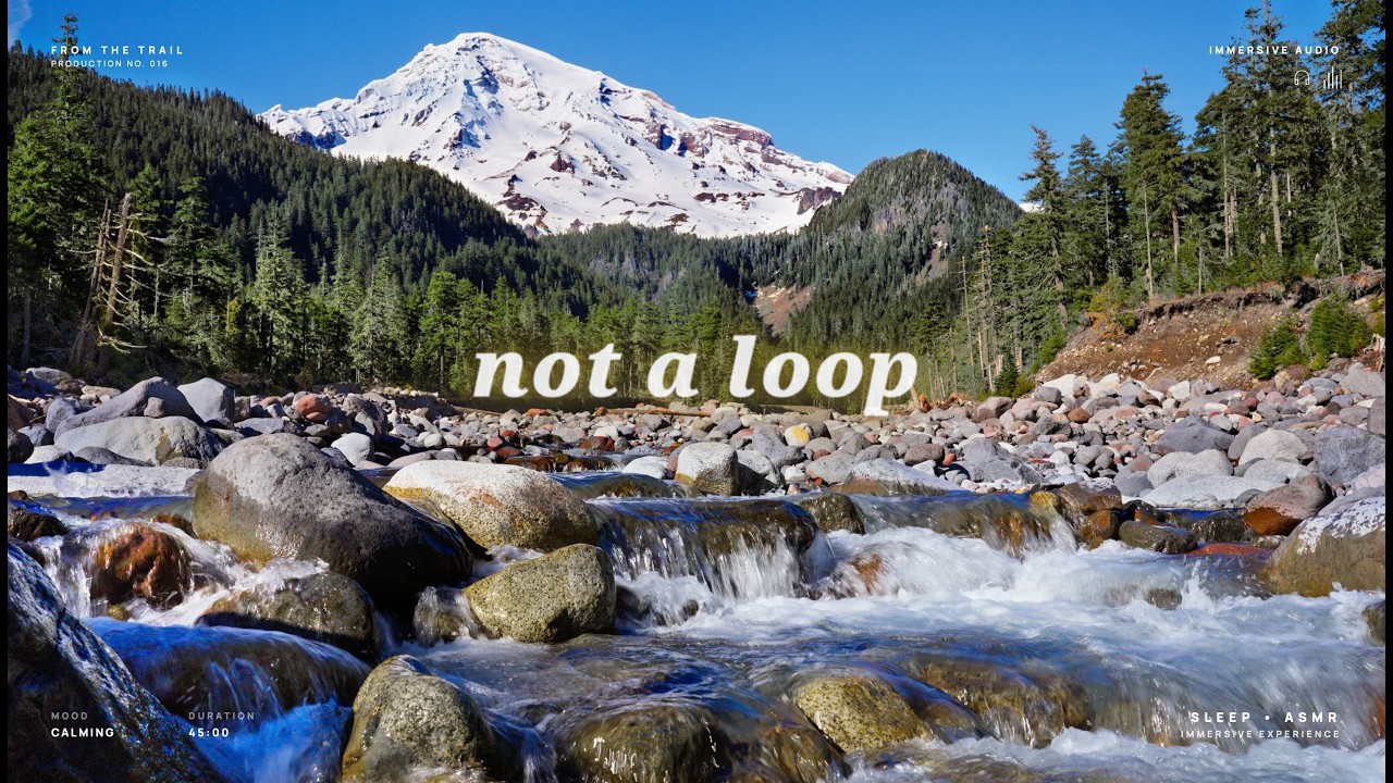 An Afternoon at Mount Rainier • 8K Nature Ambience