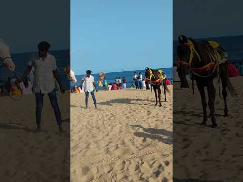 Beautiful Beach ⛱️⛱️