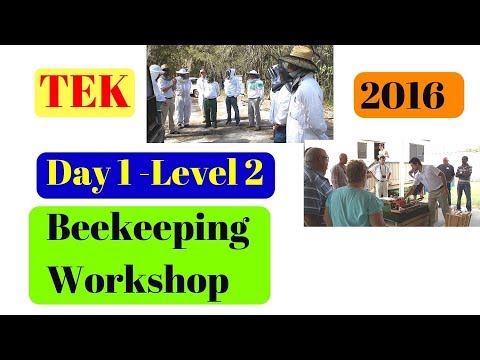 1. 4 Snippets of Day 1 -  Level 2 Beekeeping Workshop by TEK - 2016