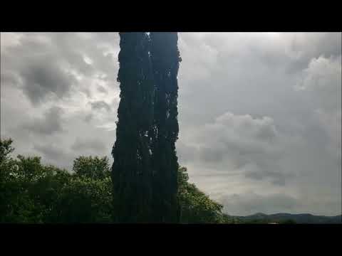 Joe Lovano Quartet, Paris (2022)
