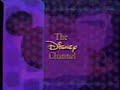 The Disney Channel Id 1997