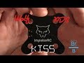 Wolf PDB Build Overview