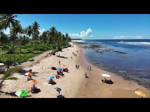 Mata de São João Bahia - Praia do Lord