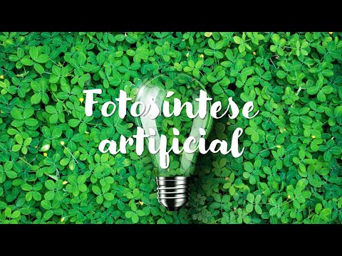 Vídeo: Fotosíntese artificial: unha solución á problemática enerxética actual