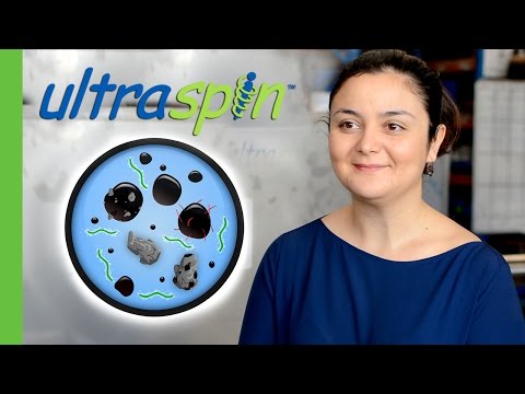 Why is Oil Droplet Size Important?