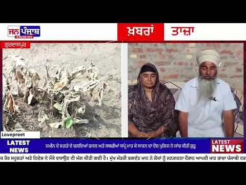 Gurdaspur Land Dispute Crop Damage : ਗੁਰਦਾਸਪੁਰ ਦੇ ਪਿੰਡ ਪੁਰੇਵਾਲ ਜੱਟਾਂ 'ਚ ਜ਼ਮੀਨੀ ਵਿਵਾਦ ਨੇ ਫੜਿਆ ਤੂਲ, ਸਪ੍ਰੇ ਕਰਕੇ ਫਸਲ ਅਤੇ ਸਬਜ਼ੀਆਂ ਨਸ਼ਟ ਕਰਨ ਦੇ ਦੋਸ਼