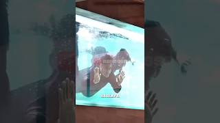 Download lagu WOW!! KEEPING SHARKS IN THE HOUSE😲 #irfanhakim #blacktipshark #whitetipshark mp3 Download lagu WOW!! KEEPING SHARKS IN THE HOUSE😲 #irfanhakim #blacktipshark #whitetipshark mp3