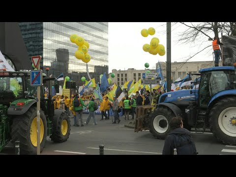 Video | Farmers rally in Brussels to protest EU-Mercosur trade deal | AFP