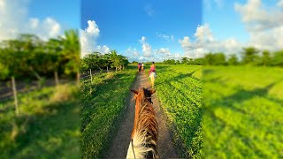 HORSEBACK RIDING IN SAN JUAN! | Cruise Vlog Day 4