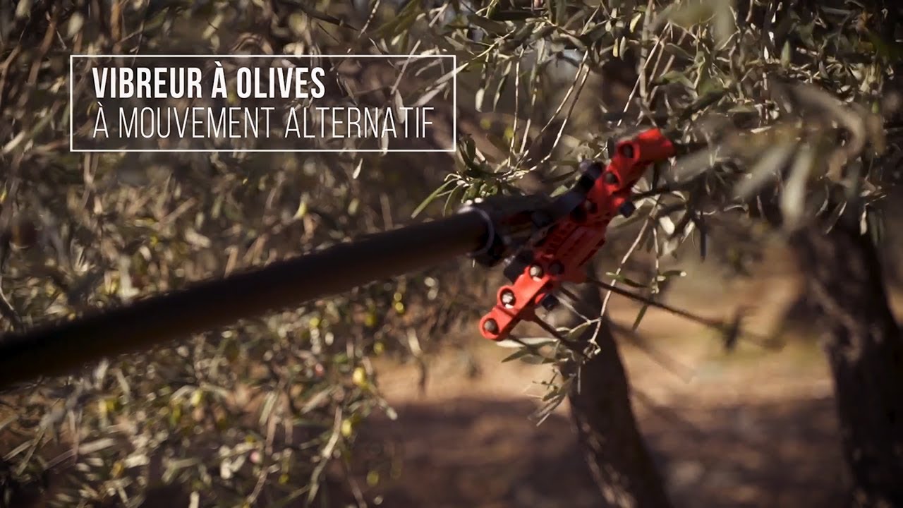 ELECTROLIVE vibreur à olives E50048T Infaco