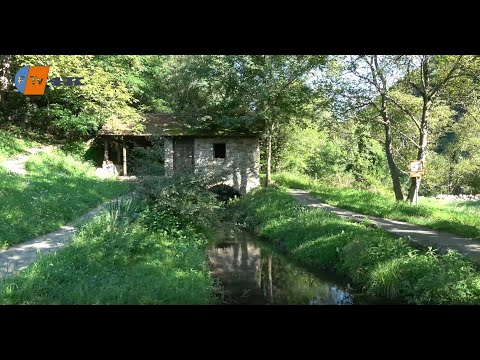 🧭🚗 Misterul ascuns in sălbăticie pe Cheile Gârliștei (4K)