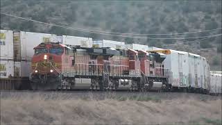 A day at the west end of the Seligman Sub