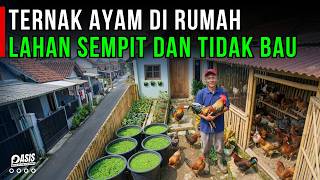 Download lagu TERNAK AYAM KUB DI LAHAN SEMPIT, KANDANG TIDAK BAU COCOK UNTUK RUMAH PADAT PENDUDUK | CERITA USAHA mp3