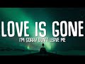 SLANDER Love Is Gone Lyrics Ft Dylan Matthew Acoustic I M Sorry Don T Leave Me