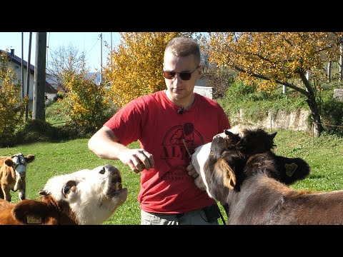 Moja budućnost je na selu