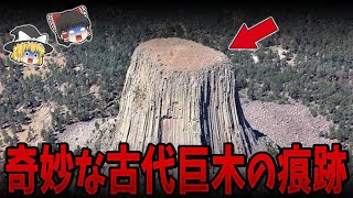 【総集編】眠れなくなるほど面白い世界の謎９選！あまりにも奇妙な古代巨木の痕跡【ゆっくり解説】