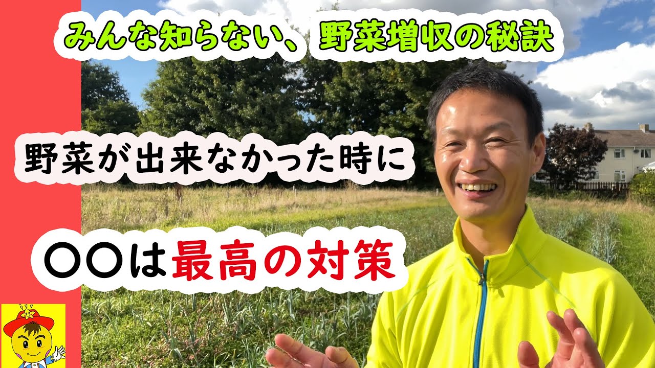 野菜が育たない時のNG行動