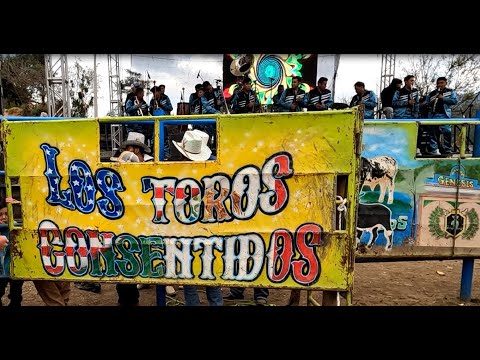 TERCER JARIPEO EN LA MOJONERA MICHOACAN 15 de Enero 2026