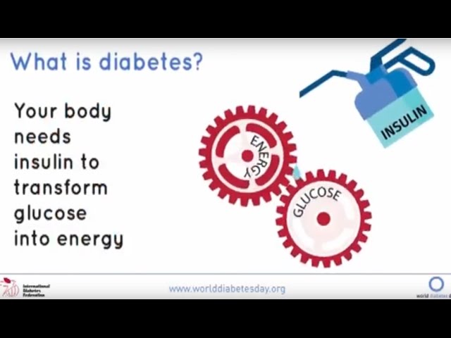 ‎Diabetes talks: #what is diabetes?? on Apple Podcasts