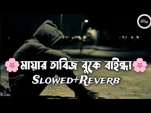 Mayar Tabij Buke Bainda {slowed+reverb} মায়ার তাবিজ বুকে বাইন্ধা slowed Atif Ahmed Niloy Lo-fi Song