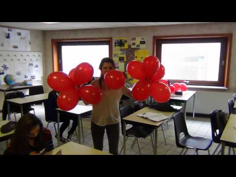 Is OLVIGent de Strafste School? The making of...