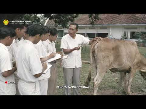  Bulan Bakti Peternakan dan Kesehatan Hewan ke-190