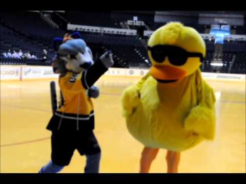 Quacky gets tips on Mascot-eering from Predators' Gnash
