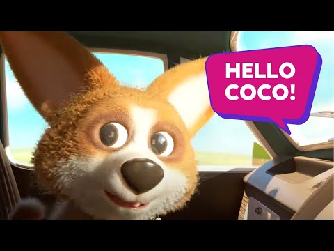 Meet Coco 🐶 | Tata Play’s New Mascot Joins the Entertainment Ride!