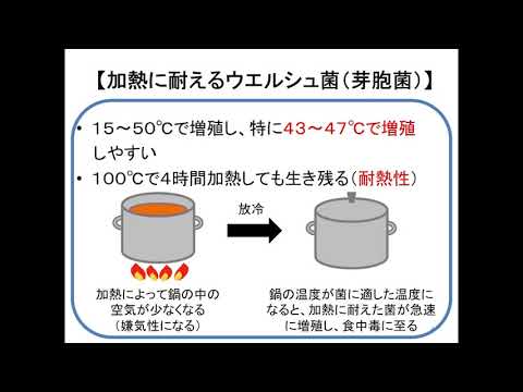 細菌のグループ Clostridium perfringens