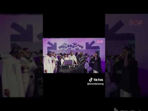 dospi vs le diable de Tasmanie ( dans van)