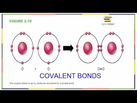 Biology 181 Chapter 2 OpenStax