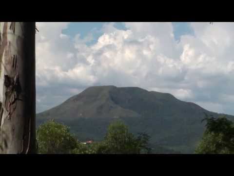 FIRMADO EM CONCENTRAÇÃO - FLOR DE JAGUBE - PAD.ALFREDO