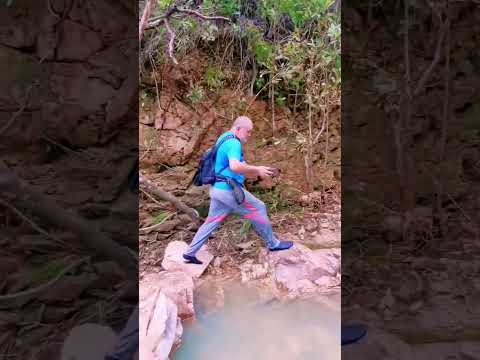 nature beauty stream #short #nature #hiking #new #love #stream #waterfall #fyp #hashtag