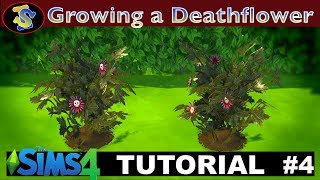 The Sims 4 Tutorial: How to Grow Death Flower