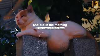Download lagu Shalala Lala remix cute   DJ DESA  Vietsub  Lyric Tik Tok Song v720P mp3