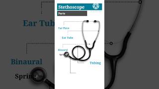 Download lagu Parts Of Stethoscope 🩺. Types. #stethoscope #doctor #nursing #pharmacy #gnm #bsc #paramedical mp3
