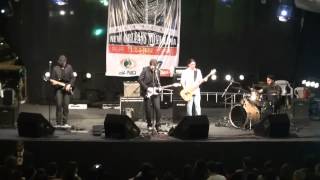 Cachorro Cego tocando Telephone Song - B.B King