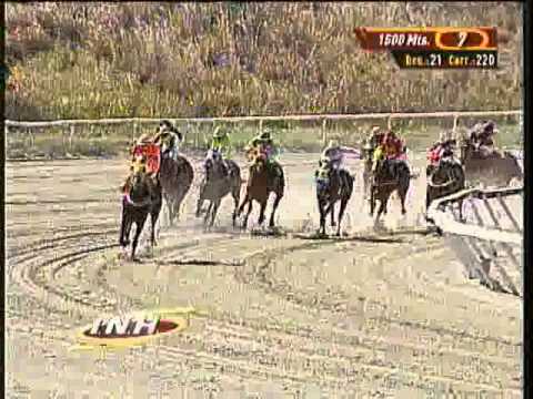 Resumen Sábado, 22 de Marzo de 2014 - La Rinconada