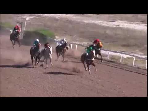 carrera 1 ganador gitana