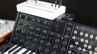 &quot;Let Beauty Loose&quot; Nitzer Ebb extended remix/cover Korg MS-20 mini + Korg Volca Sample demo