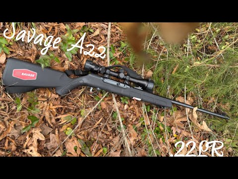New Savage A22 Semi Auto 22LR Rifle Review