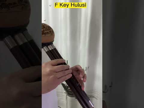 F Key Hulusi Practice Solo Music Clip One #hulusi #diziflute #葫芦丝