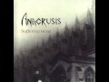 Anacrusis - Butcher's block 