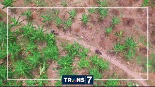 Download lagu PARA PETUALANG CANTIK - LAMPUNG 2 (4/12/16) 4-3 mp3