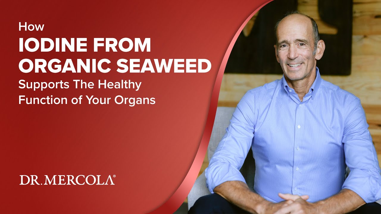How IODINE FROM ORGANIC SEAWEED Supports The Healthy Function of Your Organs