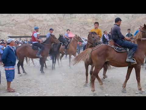 Animal Market in Osh, Kyrgyzstan